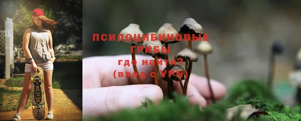 дмт Абаза