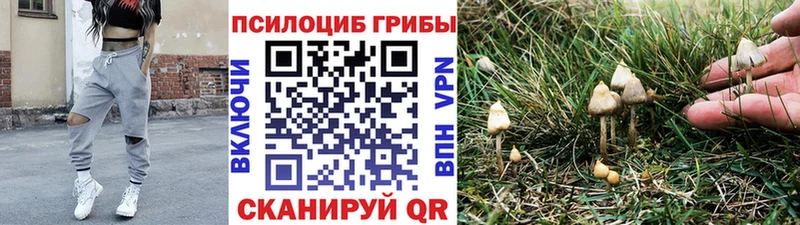 Галлюциногенные грибы Psilocybine cubensis Райчихинск