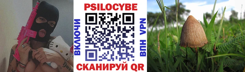 Псилоцибиновые грибы Cubensis  Райчихинск 